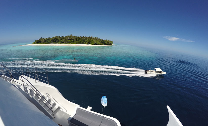 dive in maldives